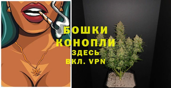 ALPHA PVP Белокуриха