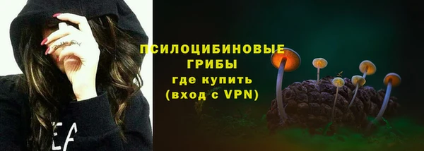 гидропоника Бородино