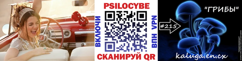 Галлюциногенные грибы Cubensis закладки Гай